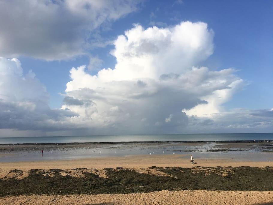 La Baleine Bleue Daire Saint-Aubin-Sur-Mer  Dış mekan fotoğraf